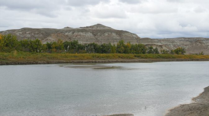 NA40 – Red Deer River in den Badlands