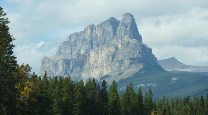 NA45 – Banff – Touristentreff und Wapitis