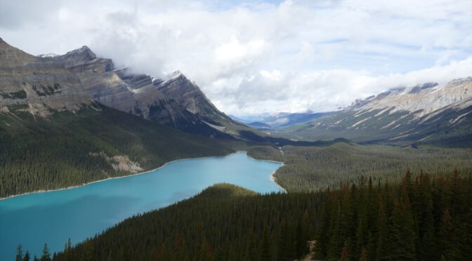 NA49 – Icefield Parkway