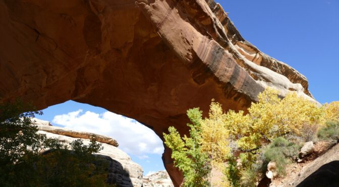 NA65 – Natural Bridges National Monument