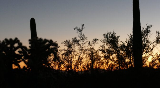 NA75 – Organ Pipe National Monument