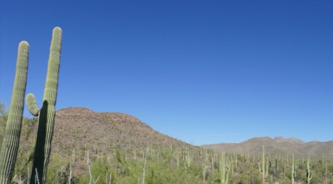 NA77 – Fahrt nach Tucson – Saguaro National Park