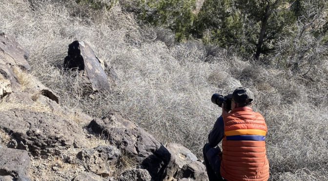 NA83 – La Cieneguilla Petroglyphs nahe Santa Fe