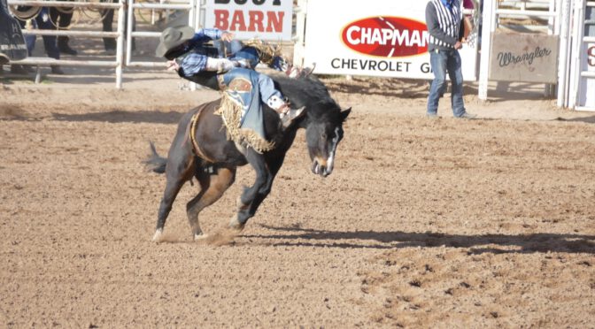 NA96 – Rodeo in Yuma (2)