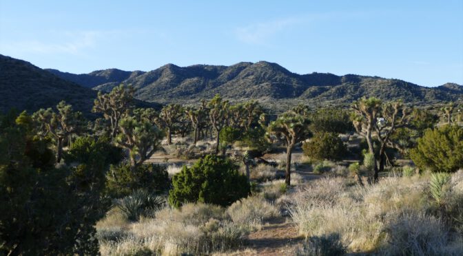 NA110 – Black Rock Canyon und Panorama Loop Hiking