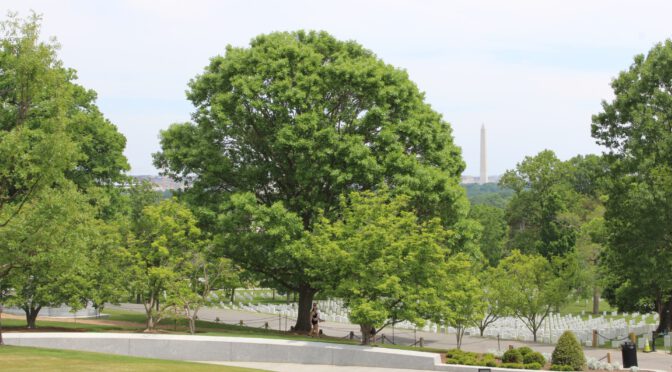 NA144 – Washington Stadtbesichtigung Teil 2