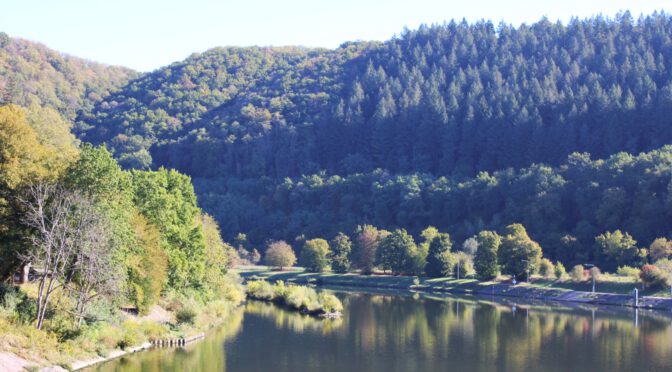 Camping in der Neckarschleife