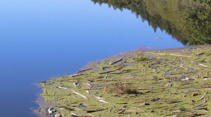 Radtour nach Eberbach