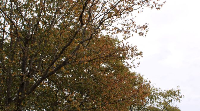 Herbstliche Tour vom Neckar über Bayern in die Steiermark